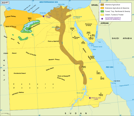 Egypt vegetation map