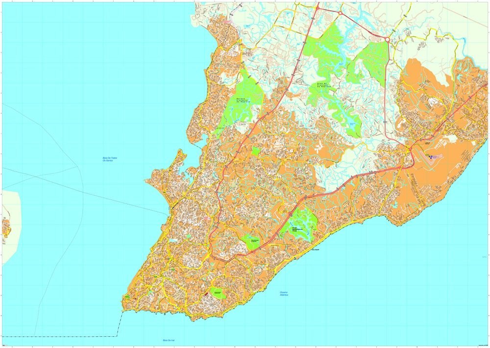 Salvador Bahia vector map